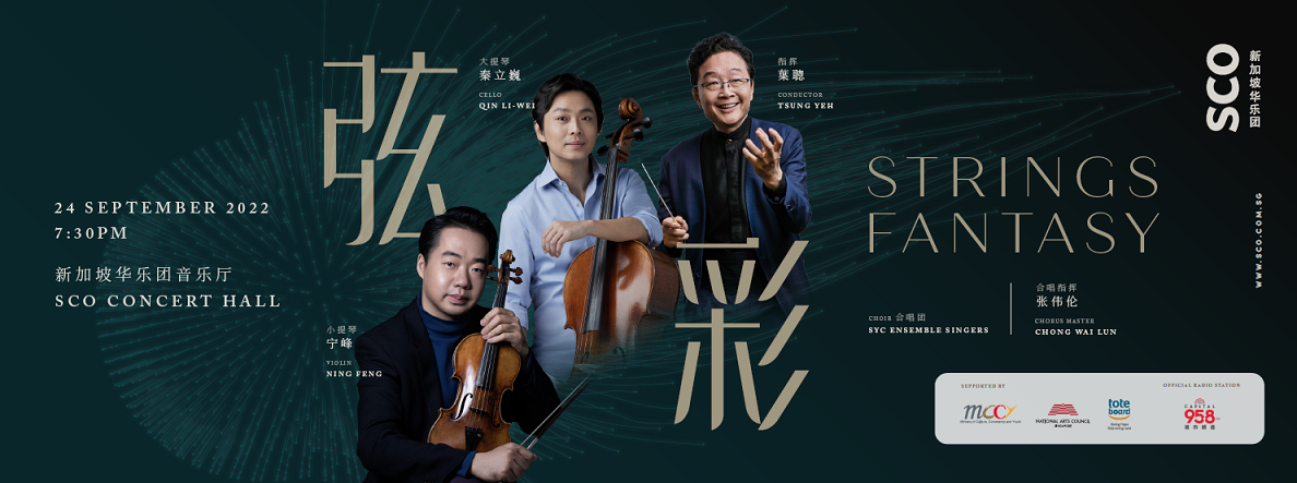 Strings Fantasy artwork