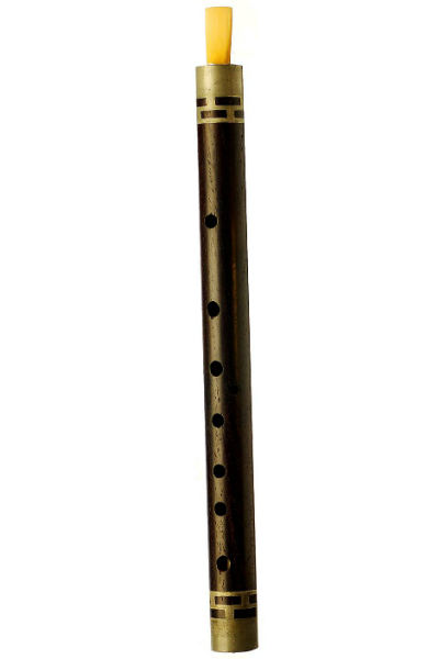 guan Chinese Instruments