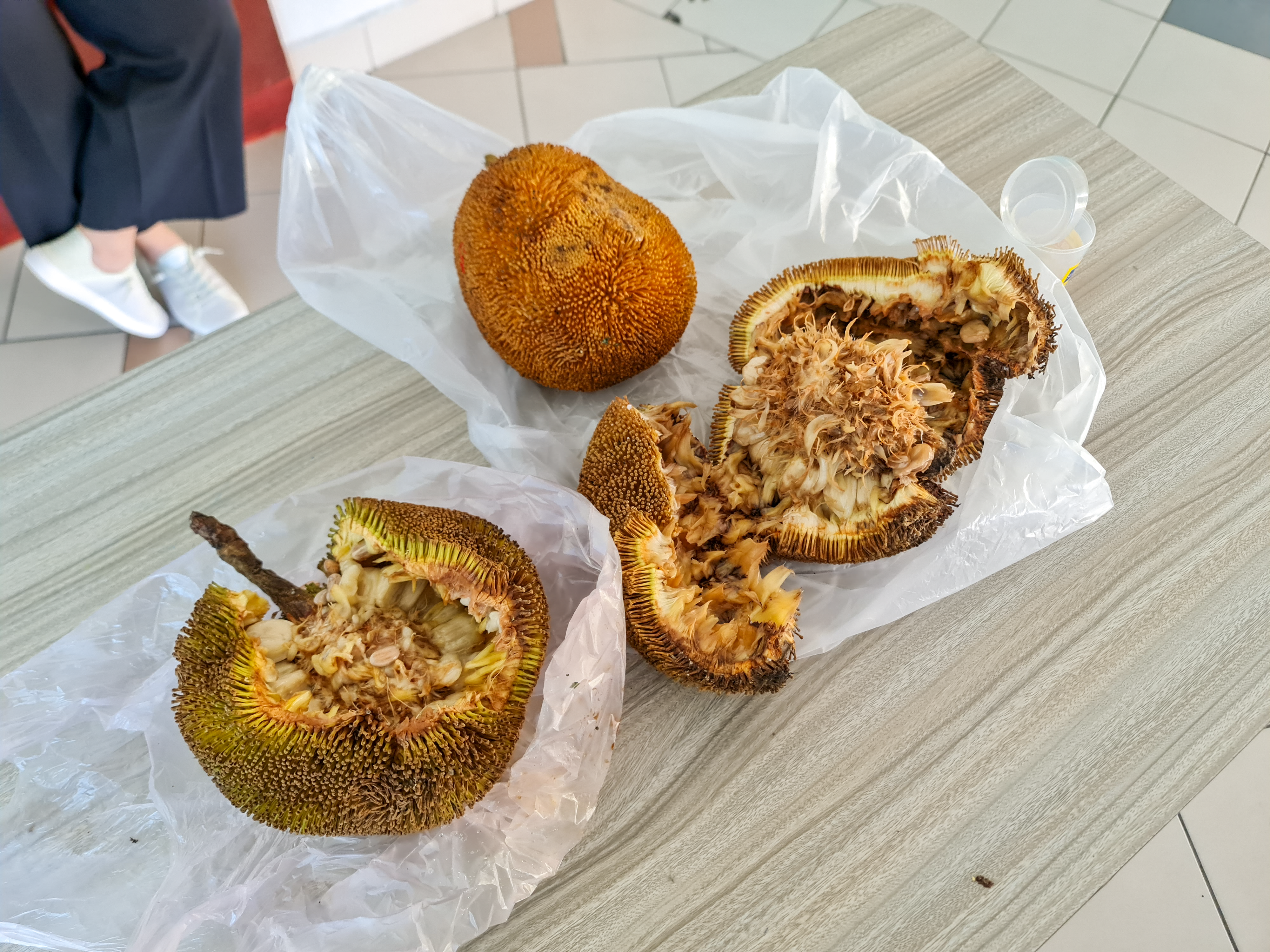 huayue snyco tour 20231207 Tarap from Mr Simon Kong