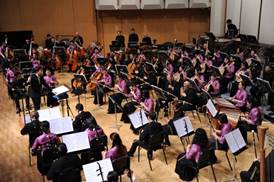 2018-08-02-2 Singapore Chinese Orchestra brings National Day cheer to the Singapore Botanic Gardens!