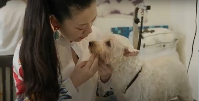 yujia4